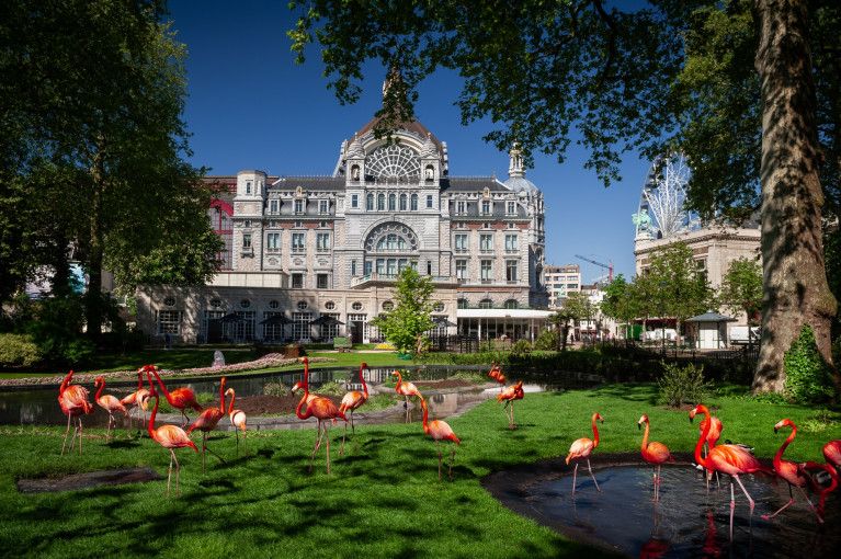 flamingo-zoo-antwerpen-jonas-verhulst-07052018-14-1.jpg